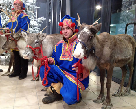 Les rennes de Laponie pour feter et celebrer Noel