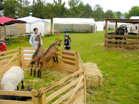 MINI FERME pédagogique, écologique et itinérante