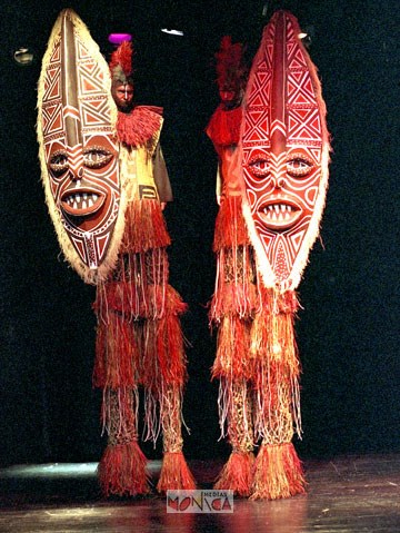 Les deux echassiers aux couleurs de l'afrique se cachent derriere leur longs masques
