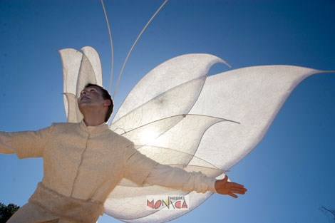 Echassier en blanc aile du ciel