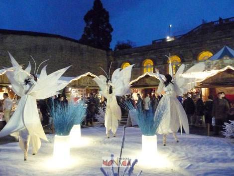 Echassiers lumineux blancs glaces de Noel