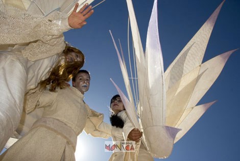 Compagnie d echassiers ailés en blanc