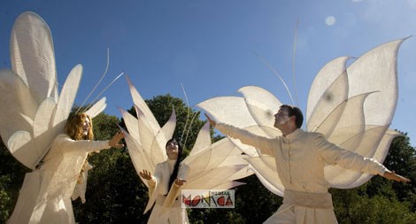 Elfes blancs echassiers