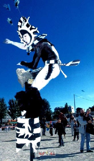 L'echassier sorcier noir et blanc fait la danse du soleil