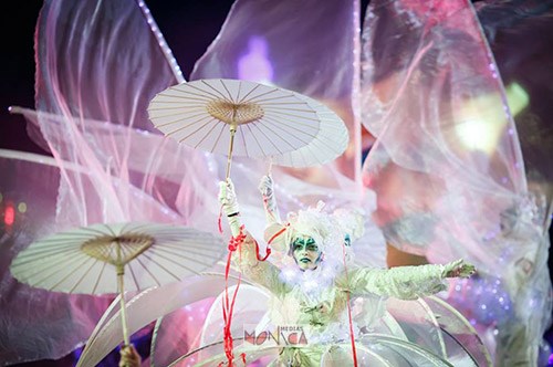 Echassiers blancs de Venise en sepctacle lumineux