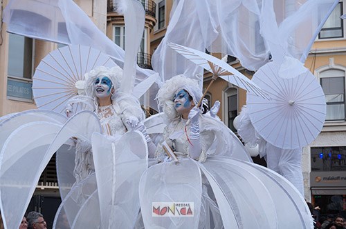 Echassiers blancs romantiques de prestige pour accueil ou deambulation