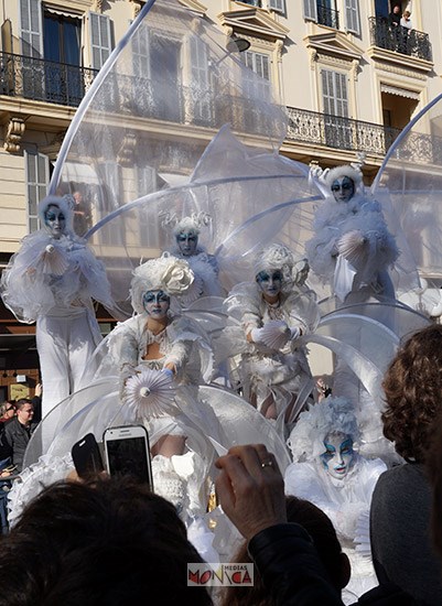 Echassiers blancs du carrnaval de Venise 