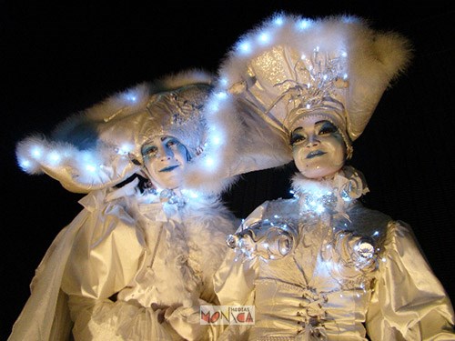 Echassiers blancs costumes d ombres et lumieres