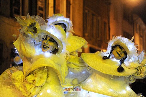 les echassiers blancs font rayonner la lumiere