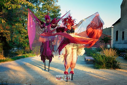 Duo d echassiers oiseaux en parade de rue