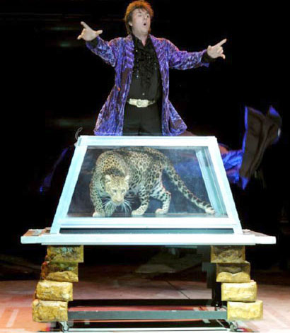 Erick avec son manteau mauve presente son tigre dans une cage vitree