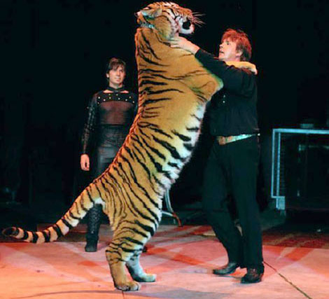 Erick caresse son tigre qui met ses deux pattes avant sur ses epaules