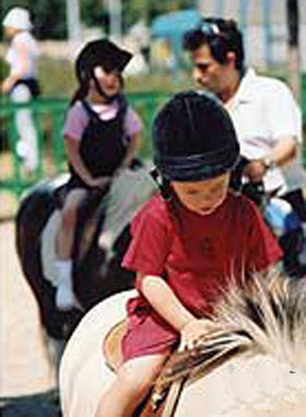 Animation animaliere avec poneys pour enfants