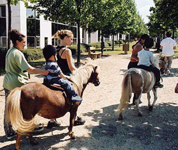 Balade en poney dans un parc parisien avec encadrement en toute securite