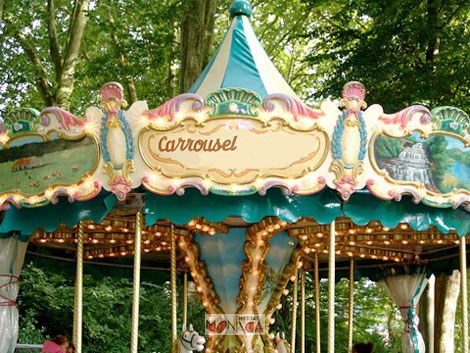 Manege carrousel vert en location