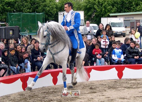 Spectacle de haute equitation dans un cirque de plein air lors d une fete de mairie