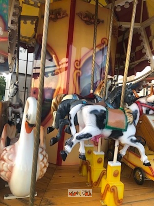 Petit manege avec chevaux du cirque a louer