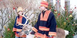Les rennes de Noel avec leurs lapons et traineau