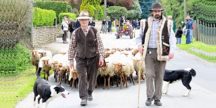 Animation moutons et bergers dans la ville